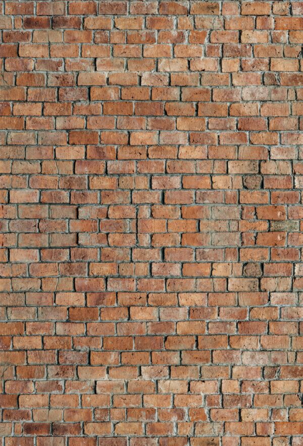 Mural Nº 08 - Imagen 2