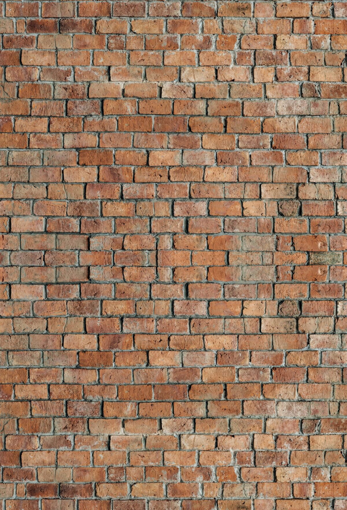 Mural Nº 08 - Imagen 2